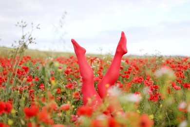 Photo of Woman in red tights among poppy flowers in wildflower meadow, closeup