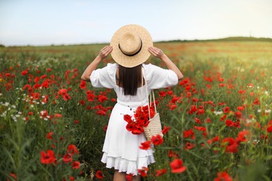 Photo of Woman in hat with bag of poppy flowers in wildflower meadow, back view