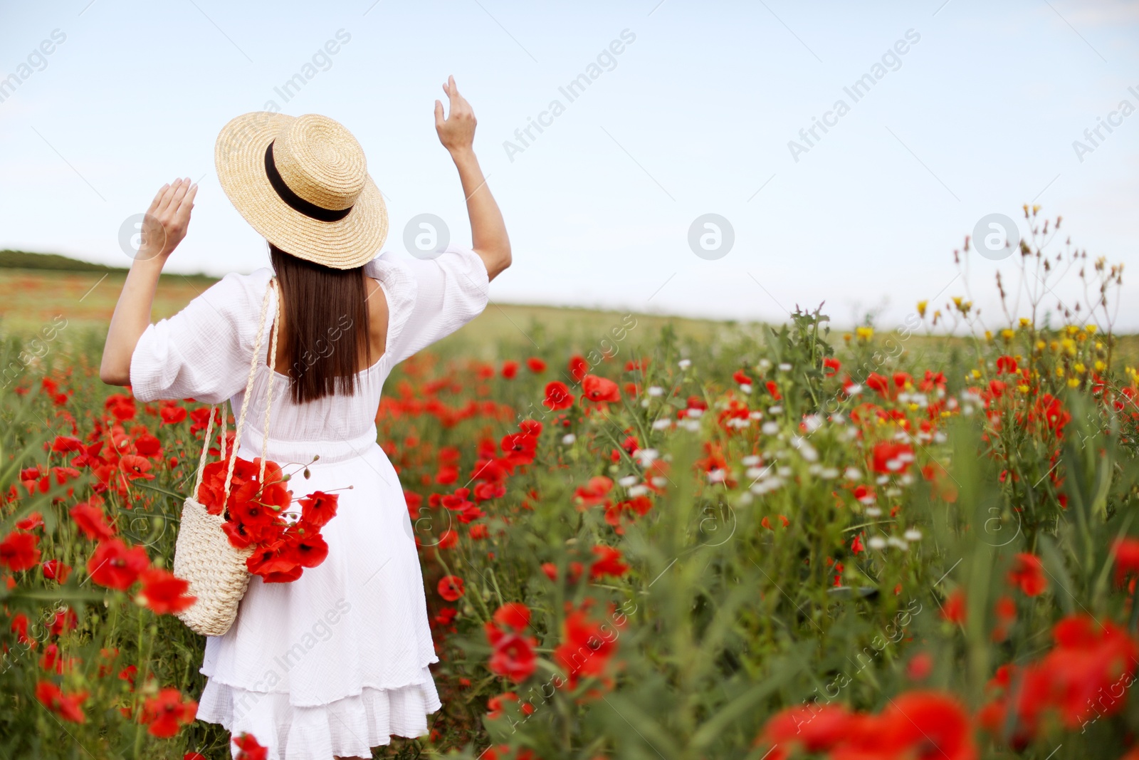 Woman in hat with bag of poppy flowers in wildflower meadow, back view Photo of Woman in hat with bag of poppy flowers in wildflower meadow, back view
