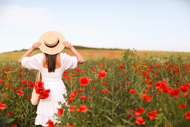 Photo of Woman in hat with bag of poppy flowers in wildflower meadow, back view