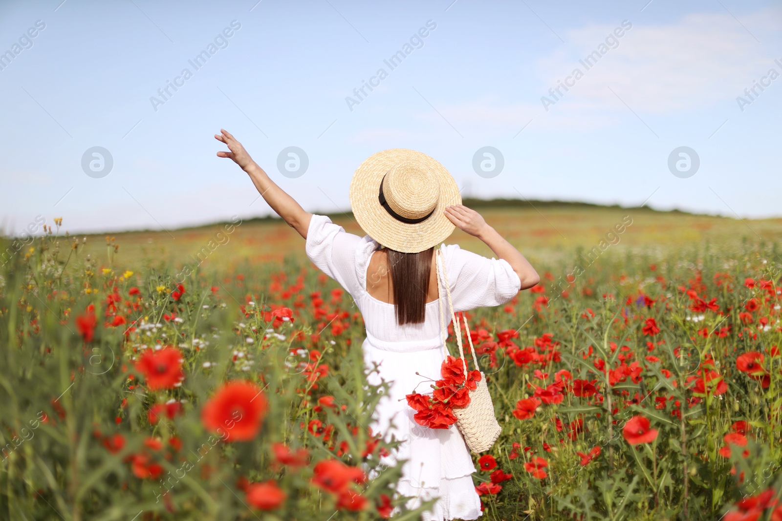 Photo of Woman in hat with bag of poppy flowers in wildflower meadow, back view