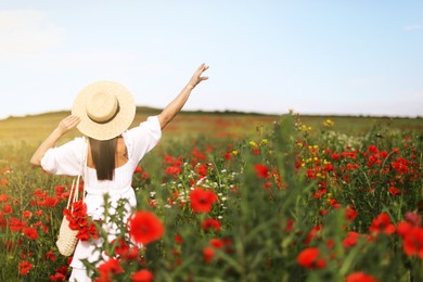 Photo of Woman in hat with bag of poppy flowers in wildflower meadow, back view