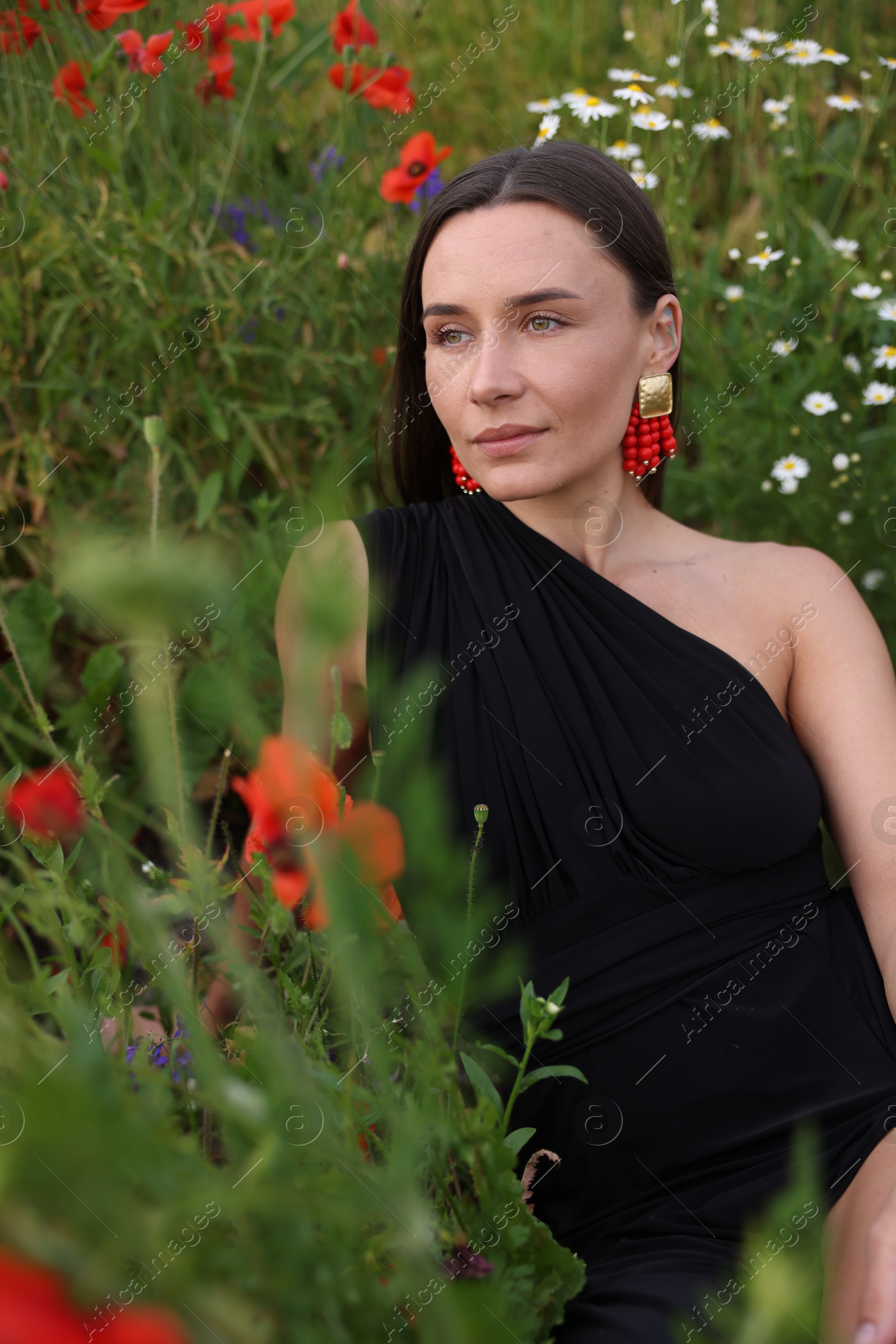 Beautiful woman posing among wildflowers in meadow Photo of Beautiful woman posing among wildflowers in meadow