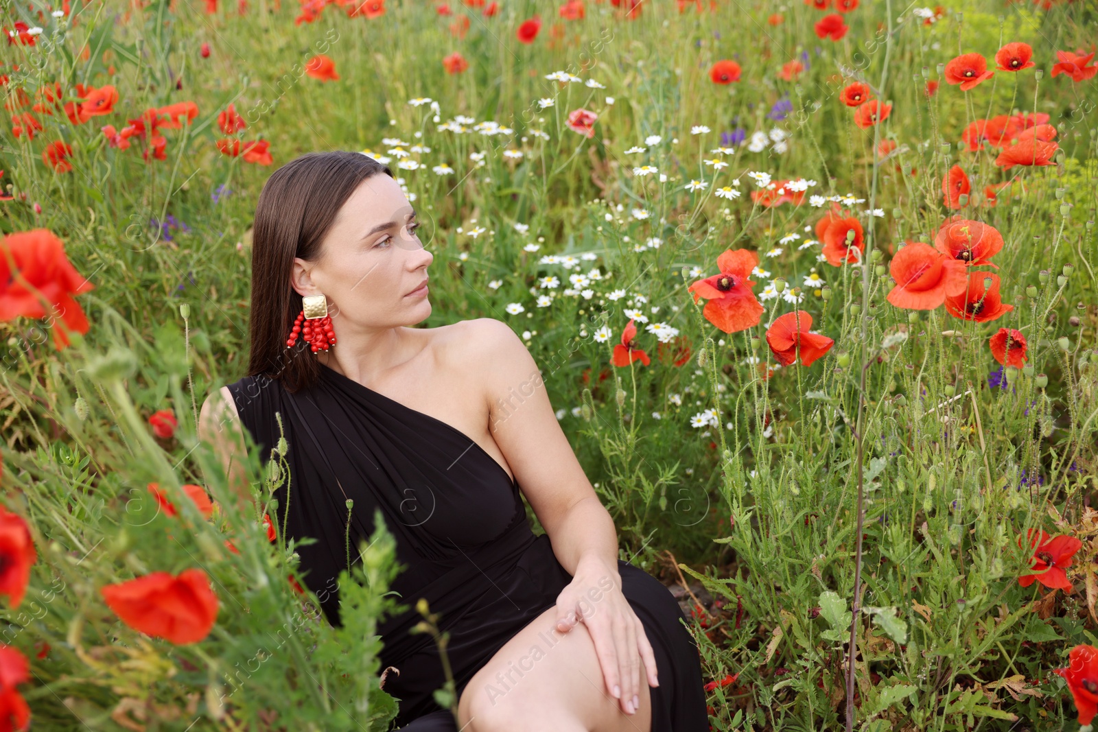 Beautiful woman posing among wildflowers in meadow Photo of Beautiful woman posing among wildflowers in meadow