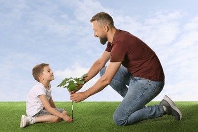 Image of Father and his son planting tree into ground outdoors