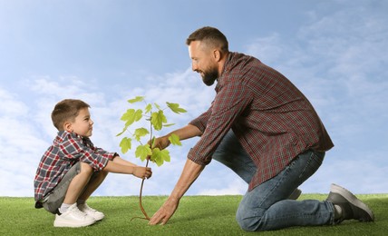 Image of Father and his son planting tree into ground outdoors