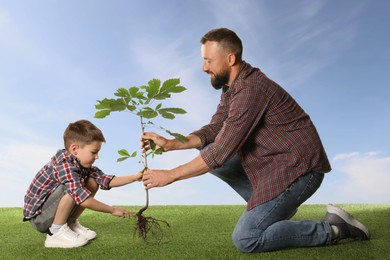 Image of Father and his son planting tree into ground outdoors