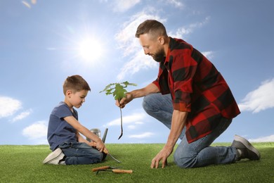Image of Father and his son planting tree into ground outdoors