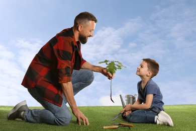 Image of Father and his son planting tree into ground outdoors