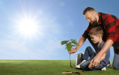 Image of Father and his son planting tree into ground outdoors