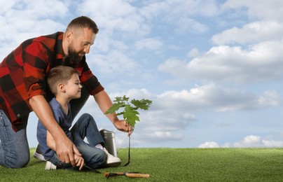 Image of Father and his son planting tree into ground outdoors