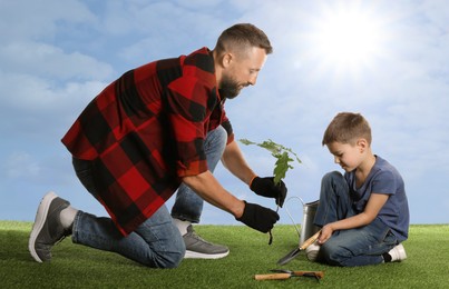 Image of Father and his son planting tree into ground outdoors
