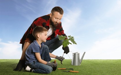 Image of Father and his son planting tree into ground outdoors