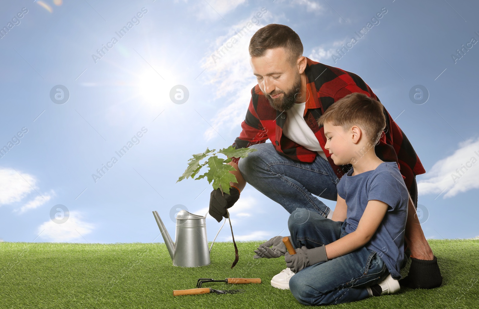Image of Father and his son planting tree into ground outdoors