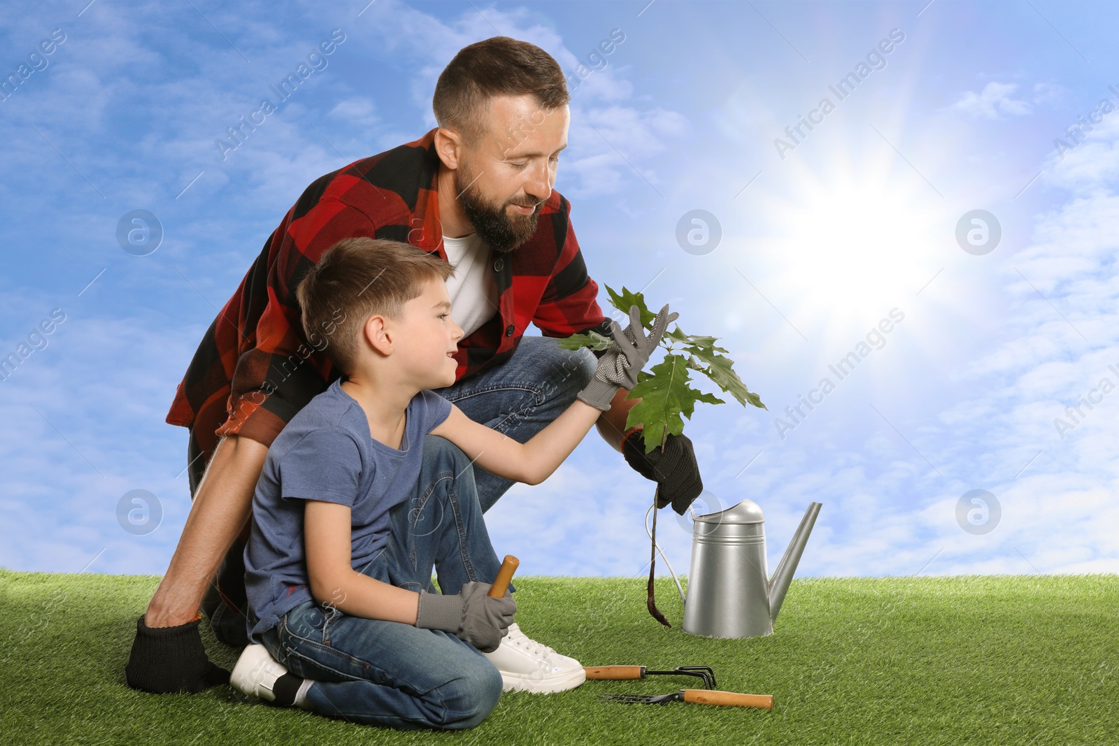 Father and his son planting tree into ground outdoors Image of Father and his son planting tree into ground outdoors