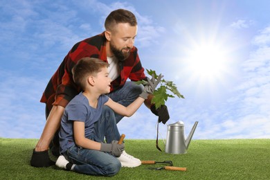 Image of Father and his son planting tree into ground outdoors