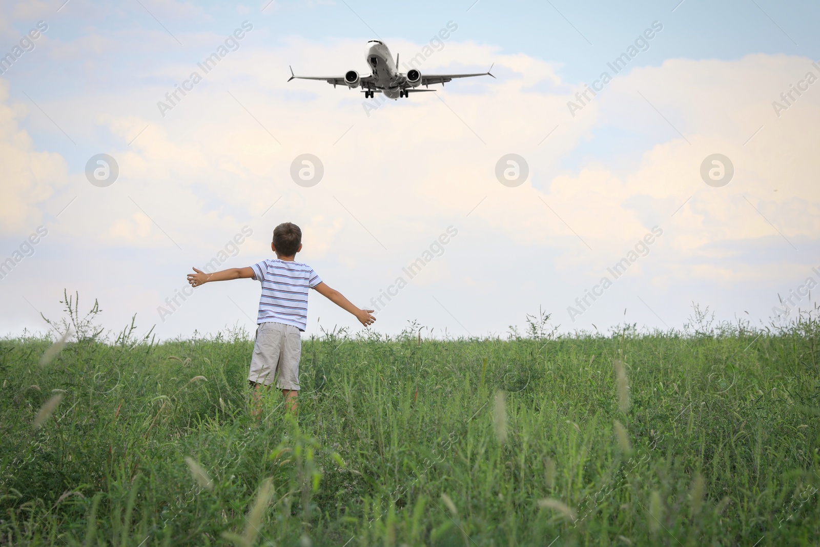 Image of Little boy in green field looking at airplane flying in sky, back view