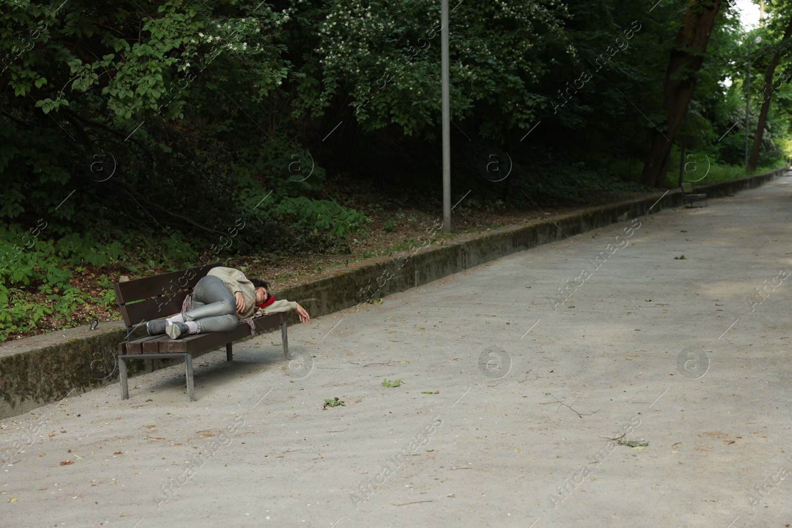 Homeless woman sleeping on bench in park, space for text Photo of Homeless woman sleeping on bench in park, space for text