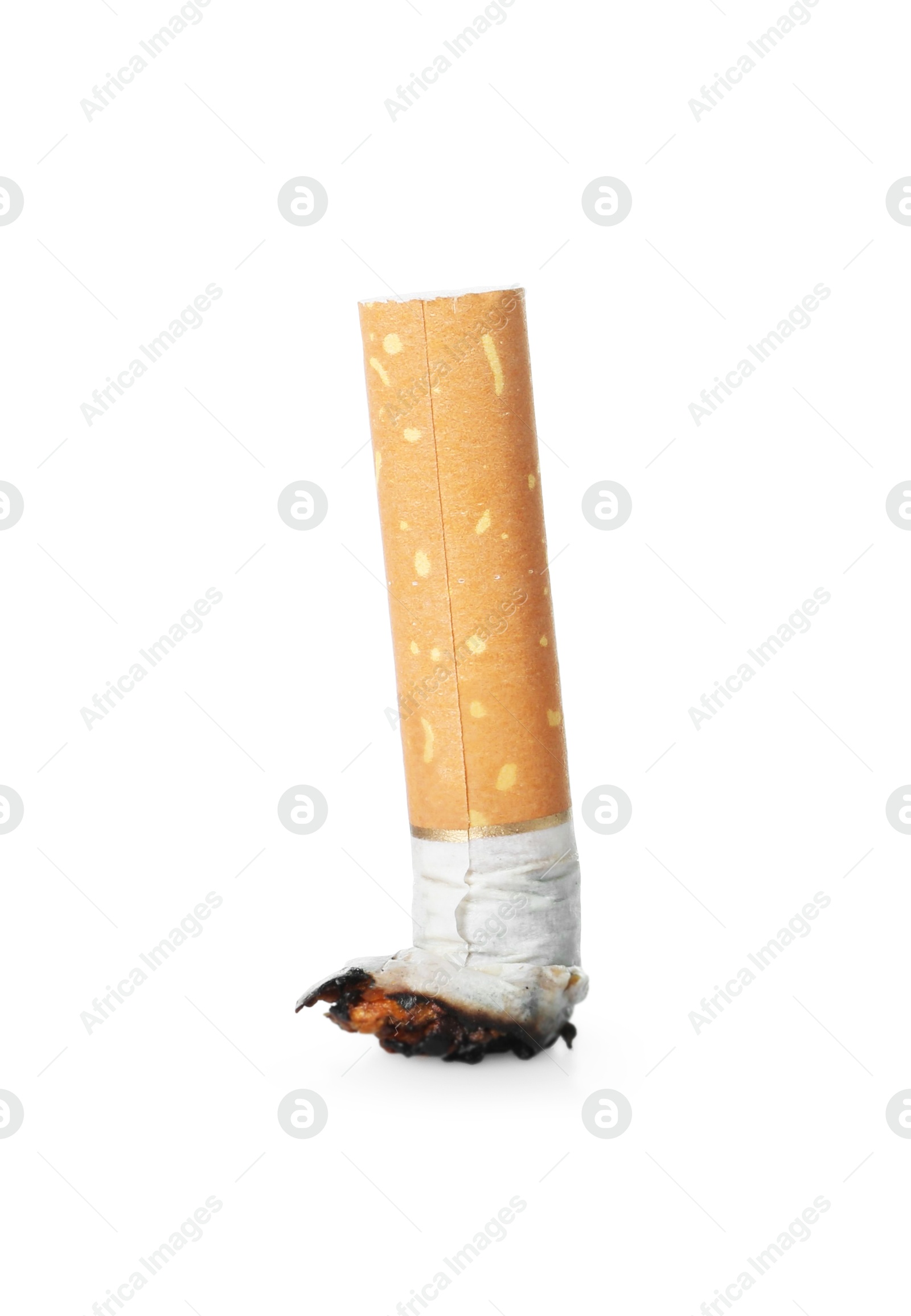 One burnt cigarette butt isolated on white Photo of One burnt cigarette butt isolated on white