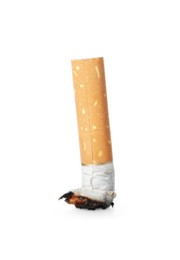Photo of One burnt cigarette butt isolated on white