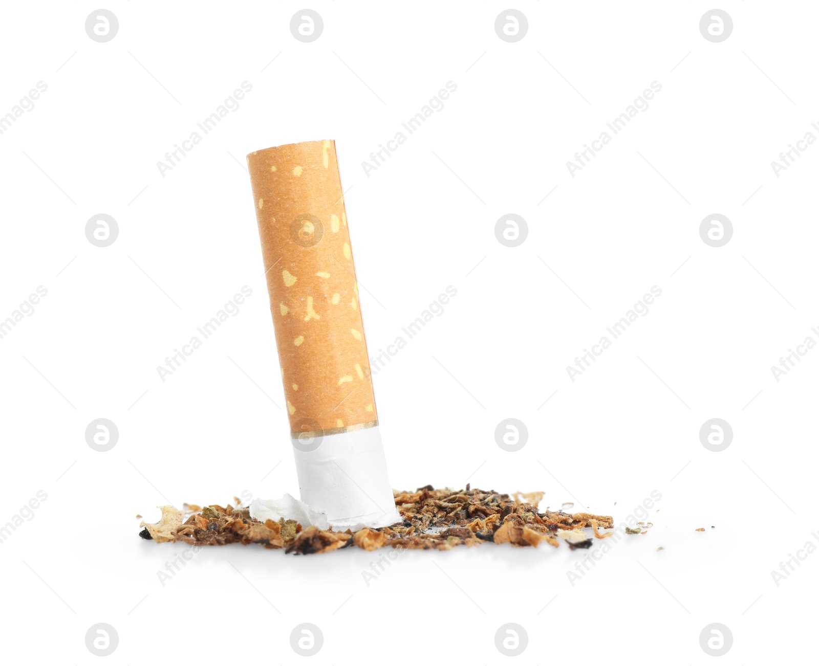 Cigarette butt with ash isolated on white Photo of Cigarette butt with ash isolated on white