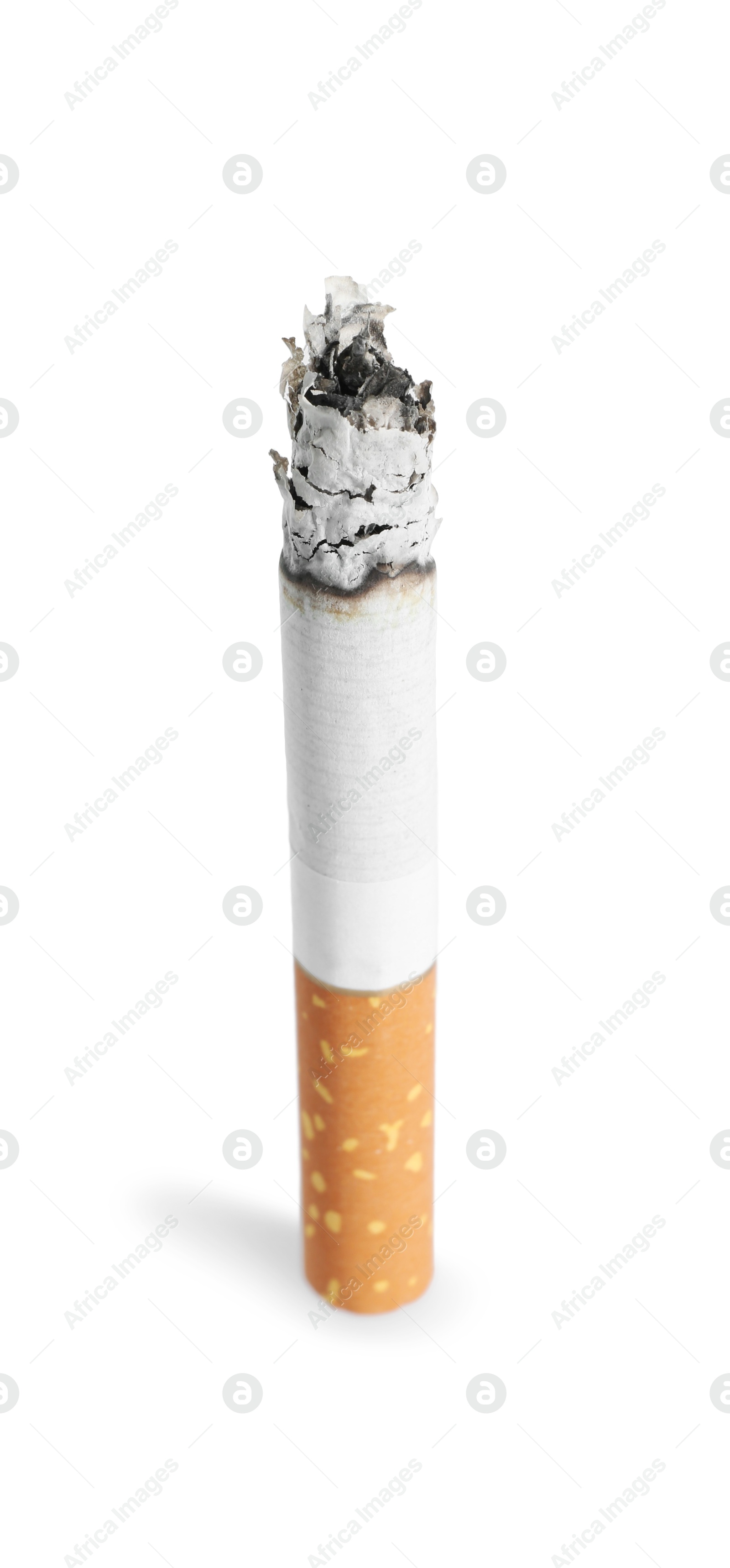 Photo of Cigarette butt with ash isolated on white