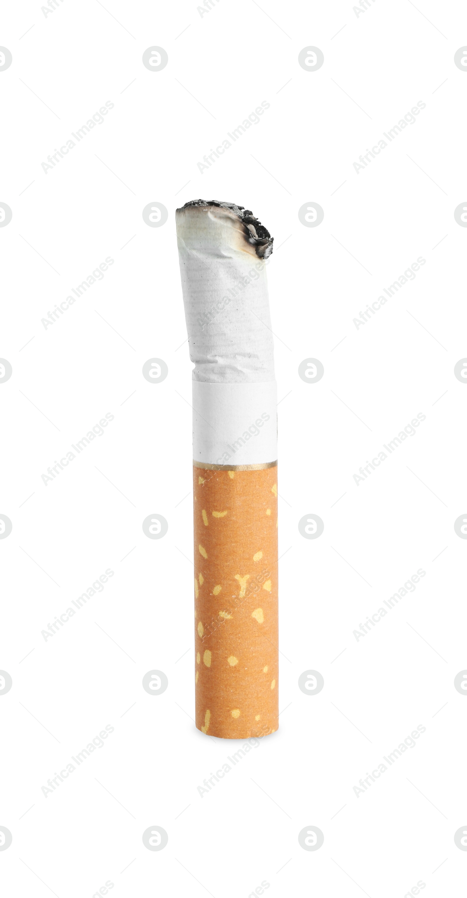 One burnt cigarette butt isolated on white Photo of One burnt cigarette butt isolated on white