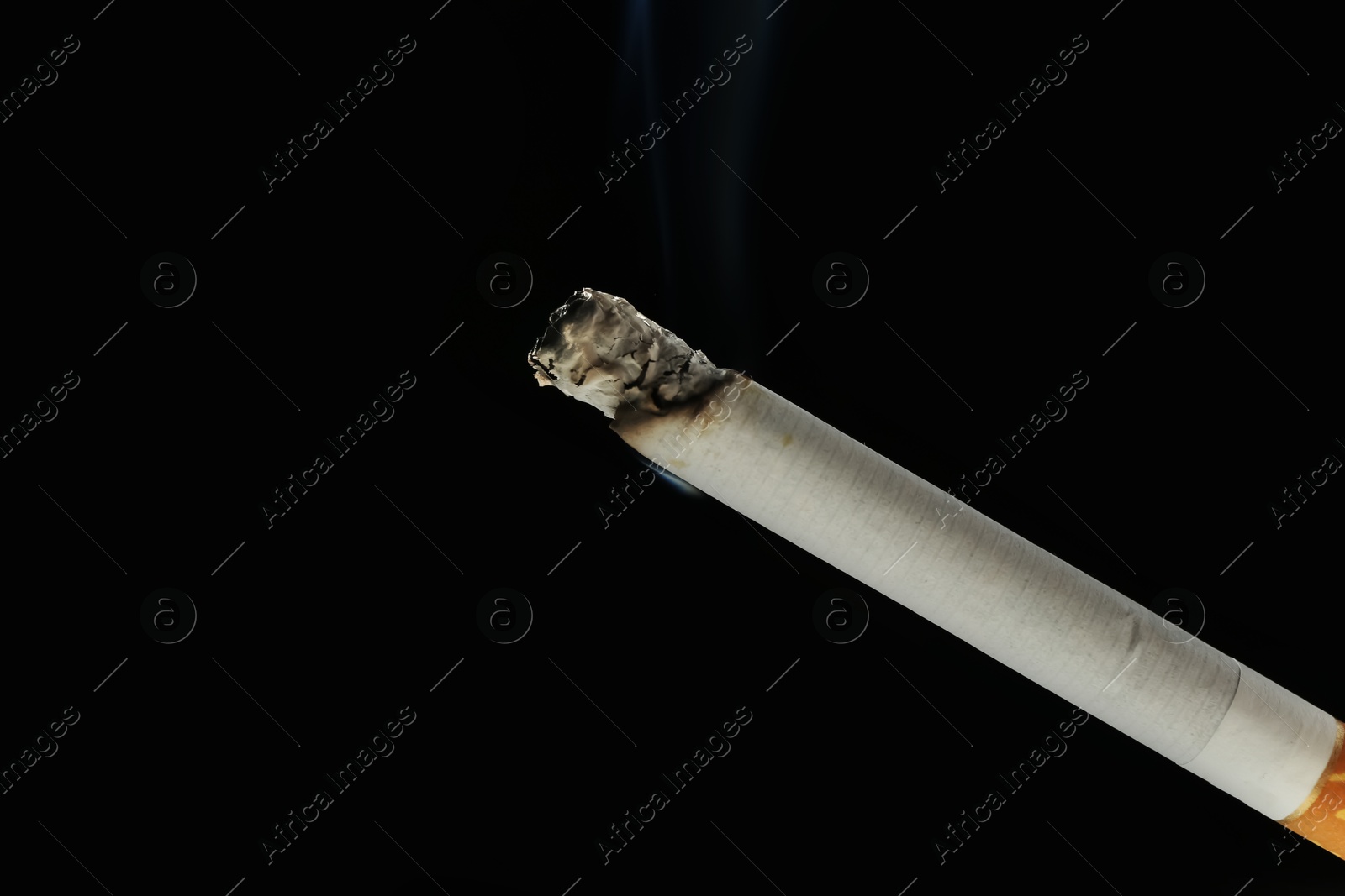 Photo of One burning cigarette on black background, closeup. Space for text