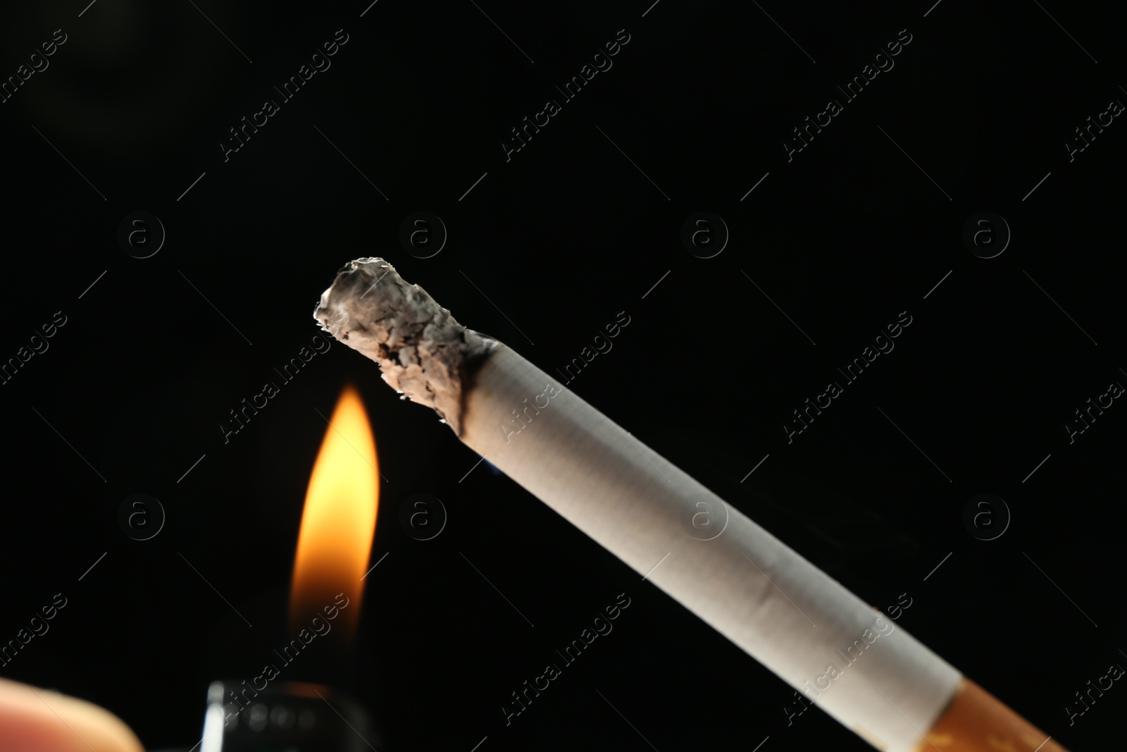Lighting up cigarette on black background, closeup Photo of Lighting up cigarette on black background, closeup