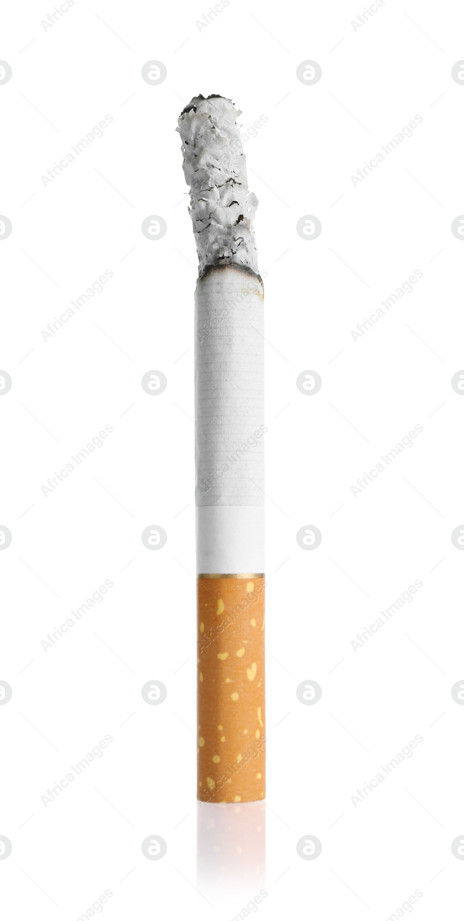 Cigarette butt with ash isolated on white Photo of Cigarette butt with ash isolated on white