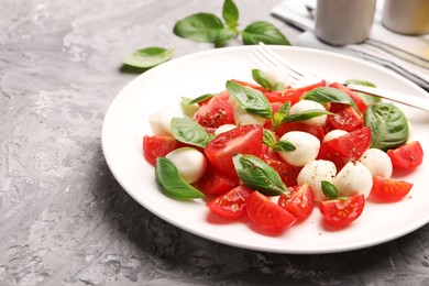 Photo of Tasty salad Caprese with mozzarella, tomatoes, basil and spices on grey table, closeup. Space for text