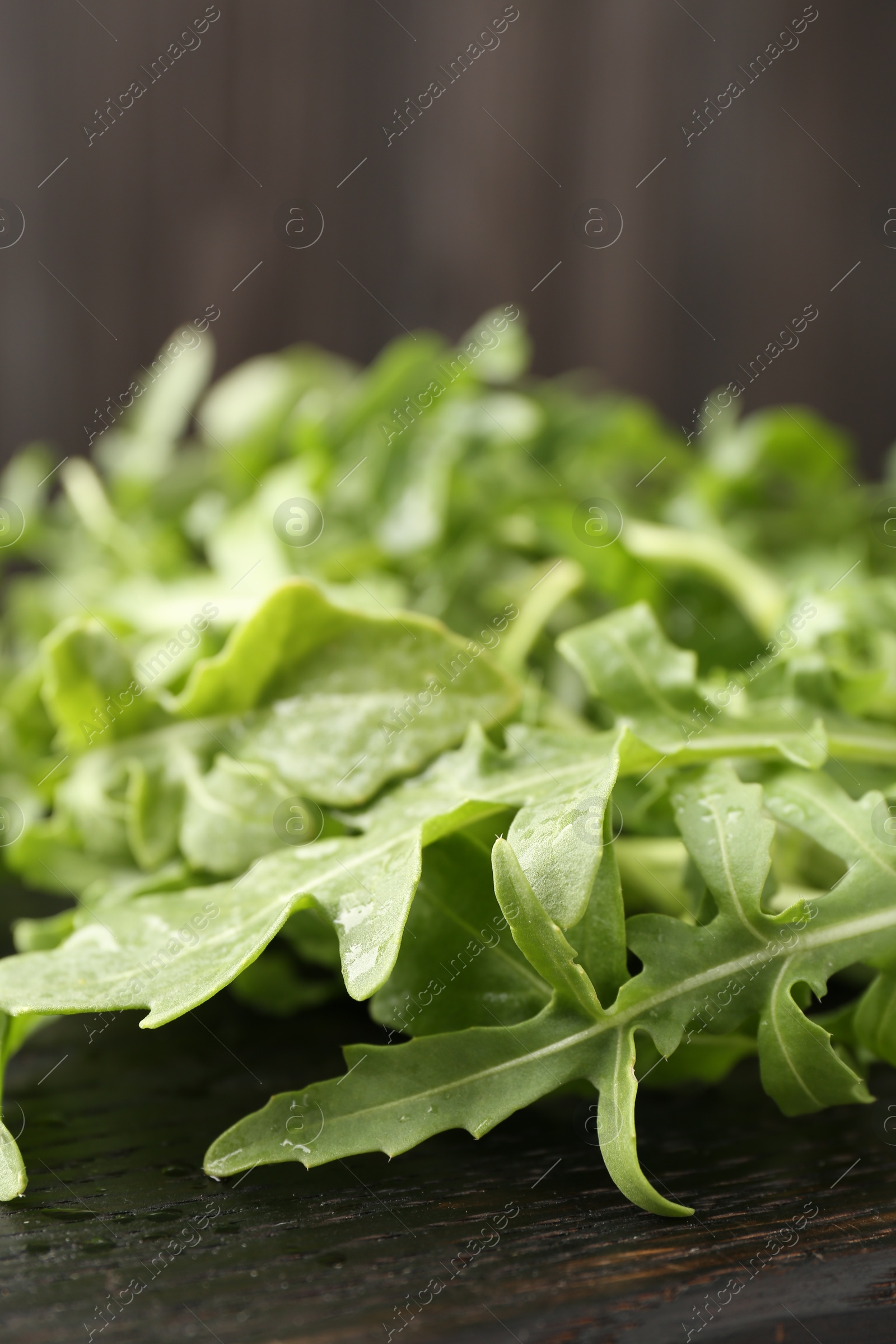 Fresh ripe green arugula leaves on dark wooden table, closeup Photo of Fresh ripe green arugula leaves on dark wooden table, closeup