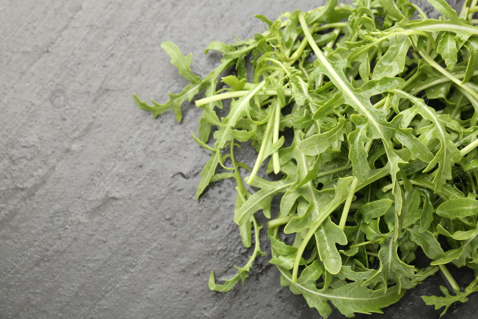 Fresh ripe green arugula leaves on black table, top view. Space for text Photo of Fresh ripe green arugula leaves on black table, top view. Space for text