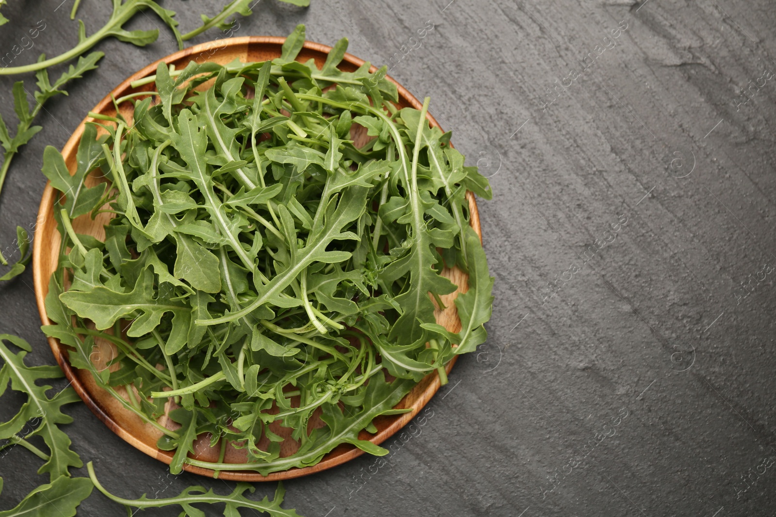 Fresh ripe green arugula leaves on black table, flat lay. Space for text Photo of Fresh ripe green arugula leaves on black table, flat lay. Space for text