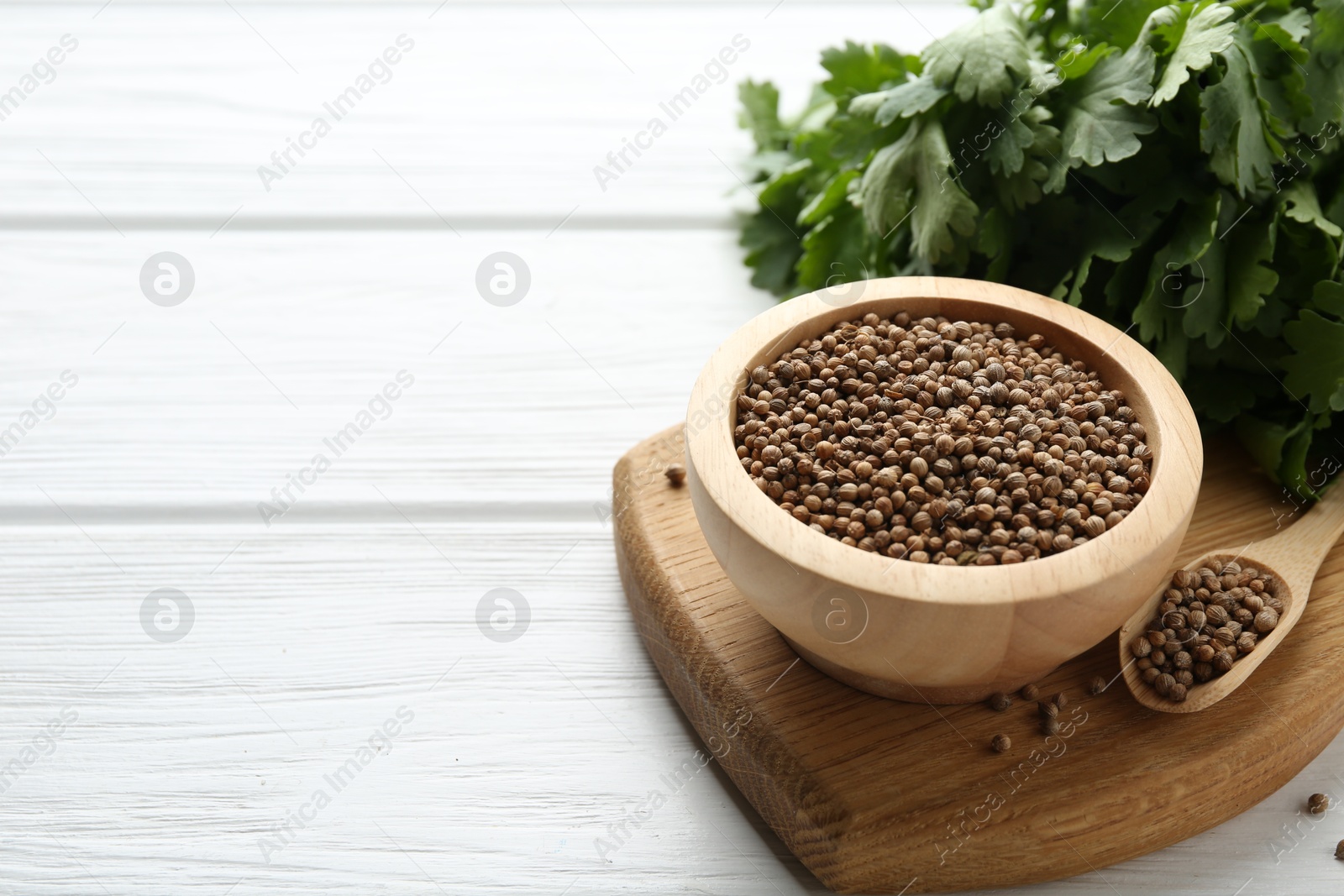 Coriander seeds and fresh cilantro on white wooden table, closeup. Space for text Photo of Coriander seeds and fresh cilantro on white wooden table, closeup. Space for text