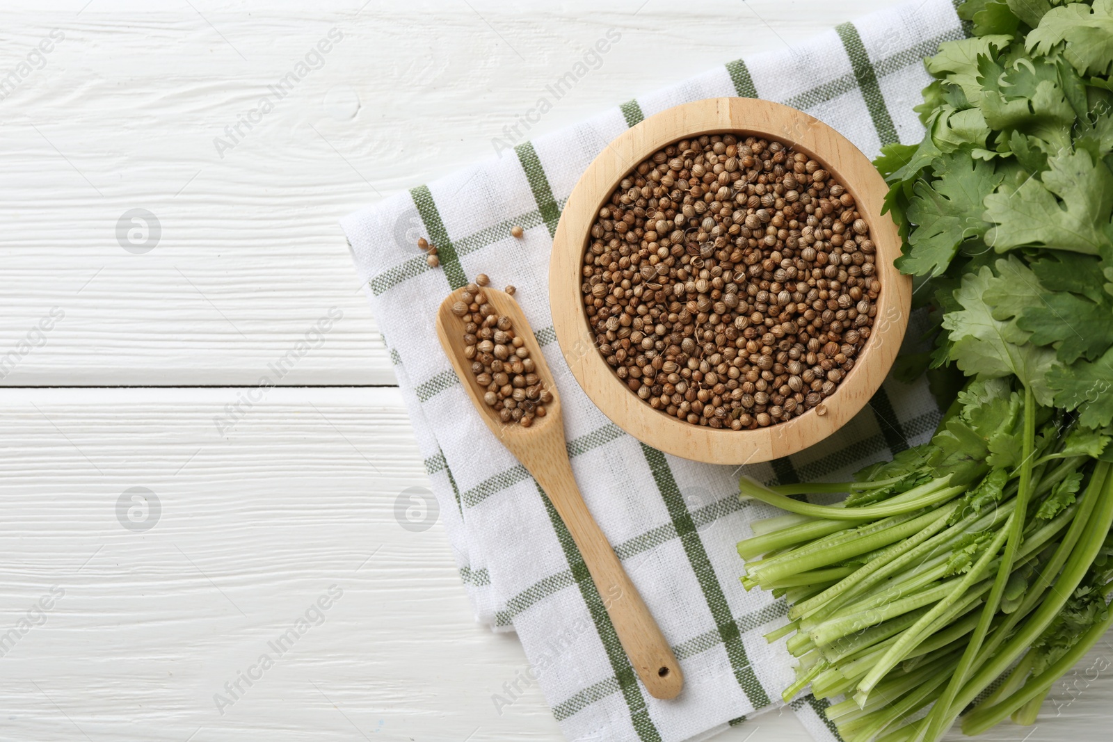 Coriander seeds and fresh cilantro on white wooden table, top view. Space for text Photo of Coriander seeds and fresh cilantro on white wooden table, top view. Space for text