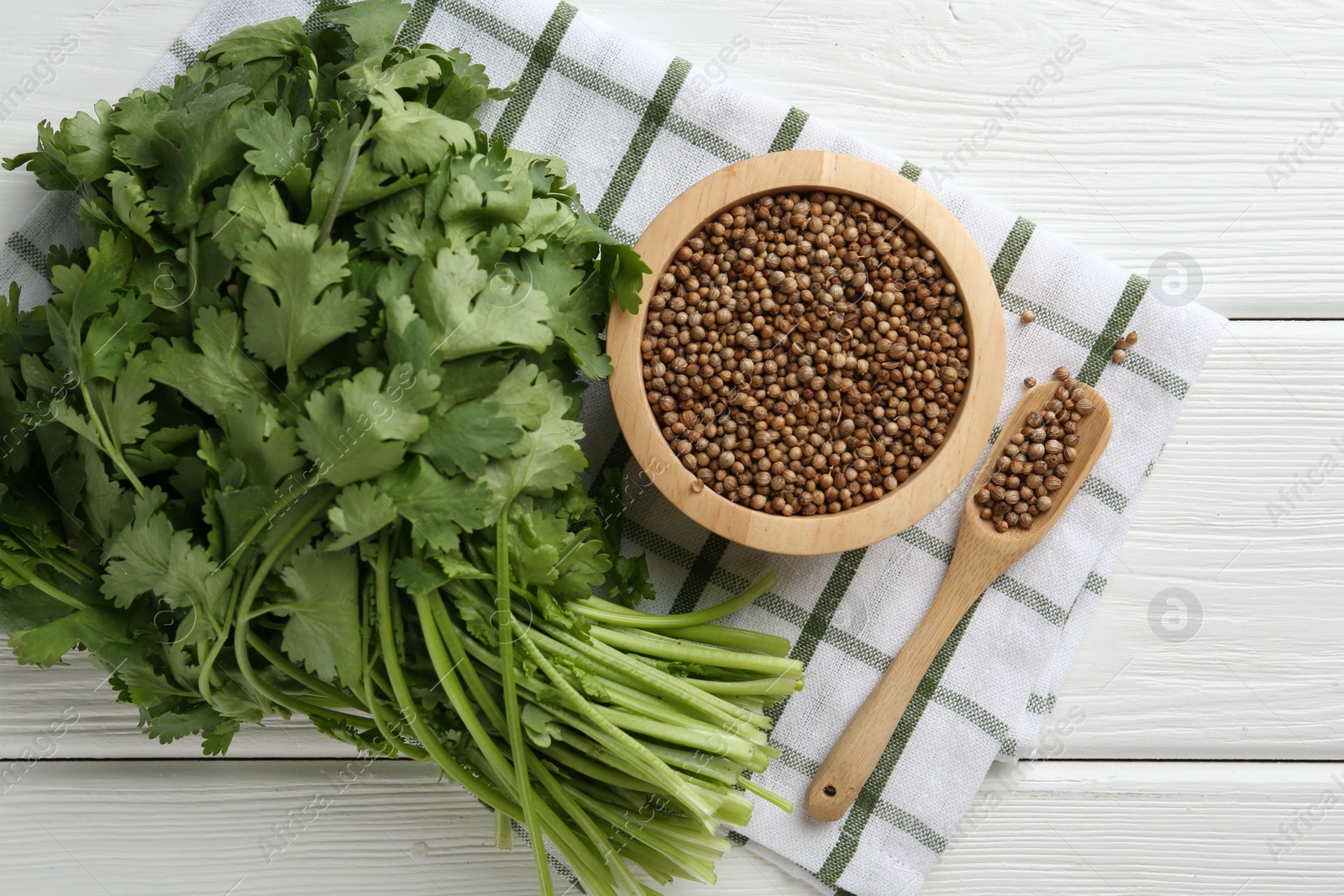 Coriander seeds and fresh cilantro on white wooden table, top view Photo of Coriander seeds and fresh cilantro on white wooden table, top view