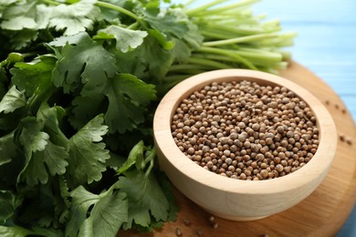 Photo of Coriander seeds and fresh cilantro on light blue table, closeup