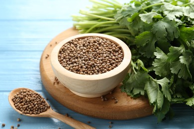 Photo of Coriander seeds and fresh cilantro on light blue wooden table, closeup