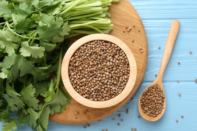 Photo of Coriander seeds and fresh cilantro on light blue wooden table, flat lay