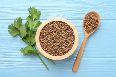 Photo of Coriander seeds and fresh cilantro on light blue wooden table, flat lay