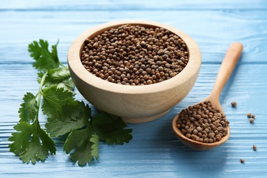 Photo of Coriander seeds and fresh cilantro on light blue wooden table, closeup