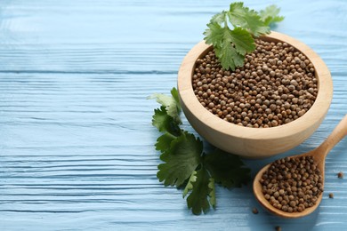 Photo of Coriander seeds and fresh cilantro on light blue wooden table, closeup. Space for text