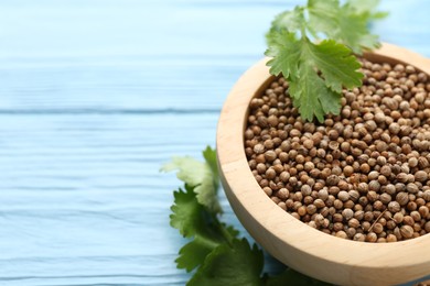Photo of Coriander seeds in bowl and fresh cilantro leaves on light blue wooden table, closeup. Space for text