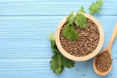 Photo of Coriander seeds and fresh cilantro leaves on light blue wooden table, flat lay. Space for text