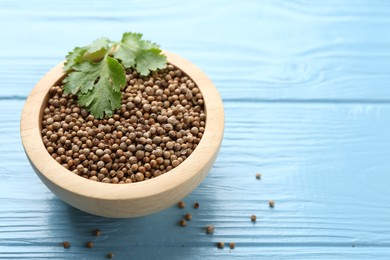 Photo of Coriander seeds in bowl and fresh cilantro leaves on light blue wooden table, closeup. Space for text