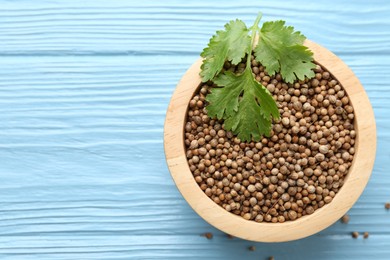 Photo of Coriander seeds and fresh cilantro leaves on light blue wooden table, top view. Space for text