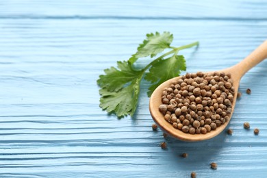 Photo of Coriander seeds, spoon and fresh cilantro leaves on light blue wooden table, closeup. Space for text