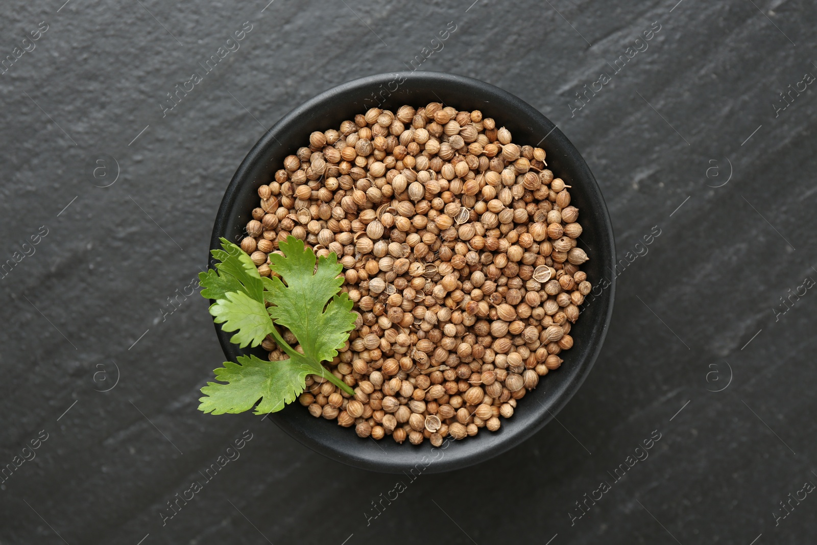 Coriander seeds and fresh cilantro leaves in bowl on dark textured table, top view Photo of Coriander seeds and fresh cilantro leaves in bowl on dark textured table, top view