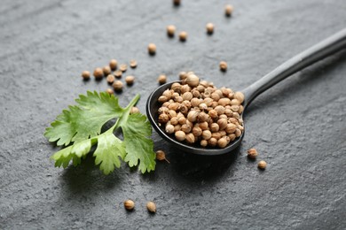 Photo of Coriander seeds, spoon and fresh cilantro leaves on dark textured table, closeup